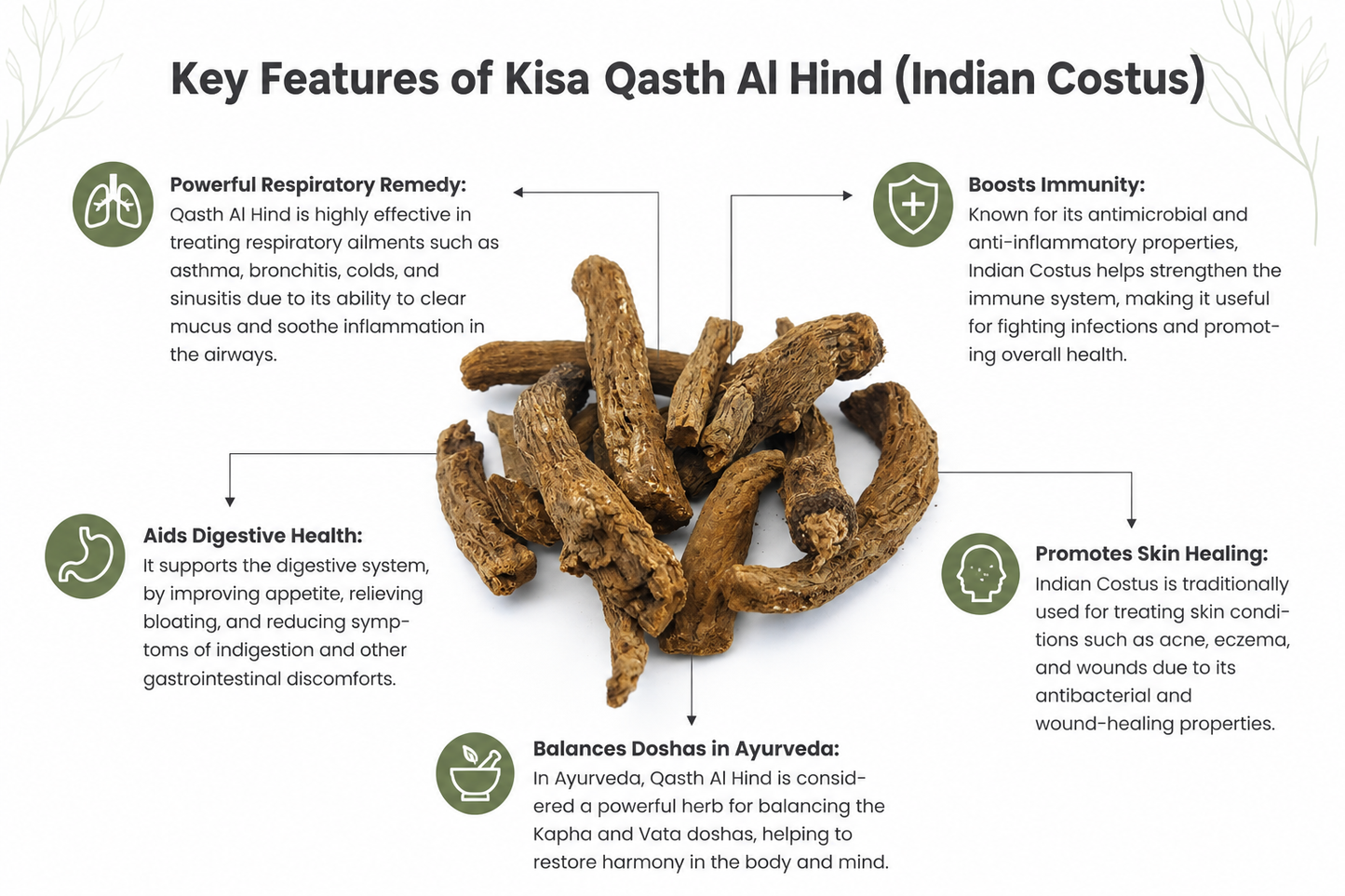 Qust Al Hindi Root (Indian Costus Root) | Natural Dried Herbal Root | 100% Pure | 100g