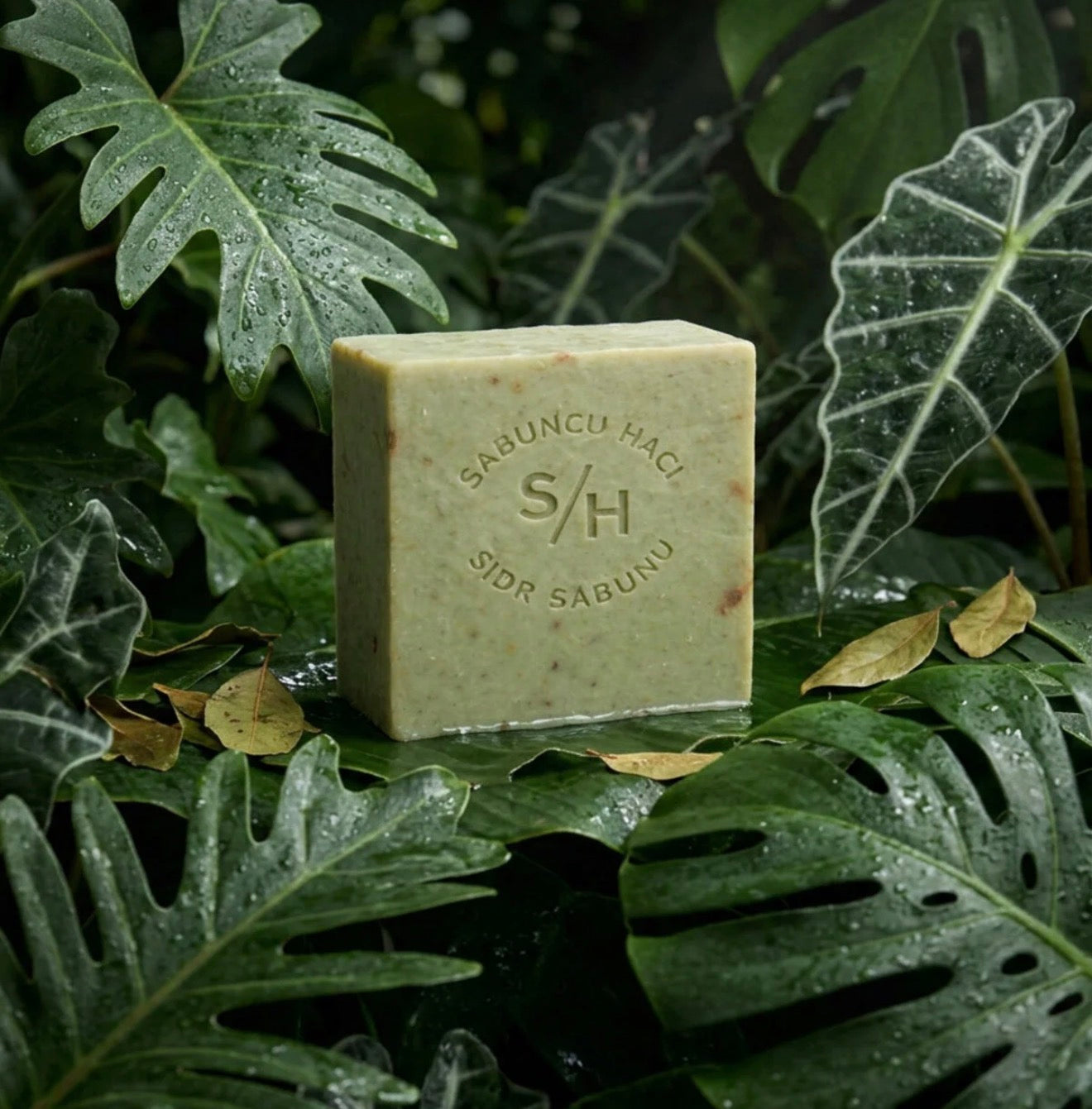 Sidr Soap – Natural Herbal Cleansing Bar for Face & Body