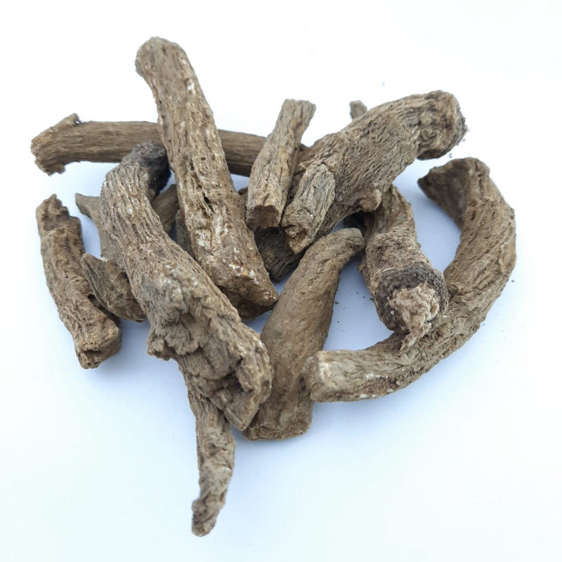 Qust Al Hindi Root (Indian Costus Root) | Natural Dried Herbal Root | 100% Pure | 100g